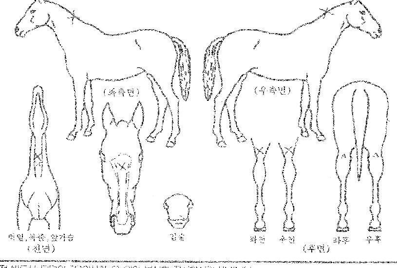 ·°Å°·¹À̽ºÀÇ Ãø¸é,¿ì¸é,µÞ¸é,µÎ»ó,´Ù¸®ÀÇ Æ¯Â¡µµÇØ