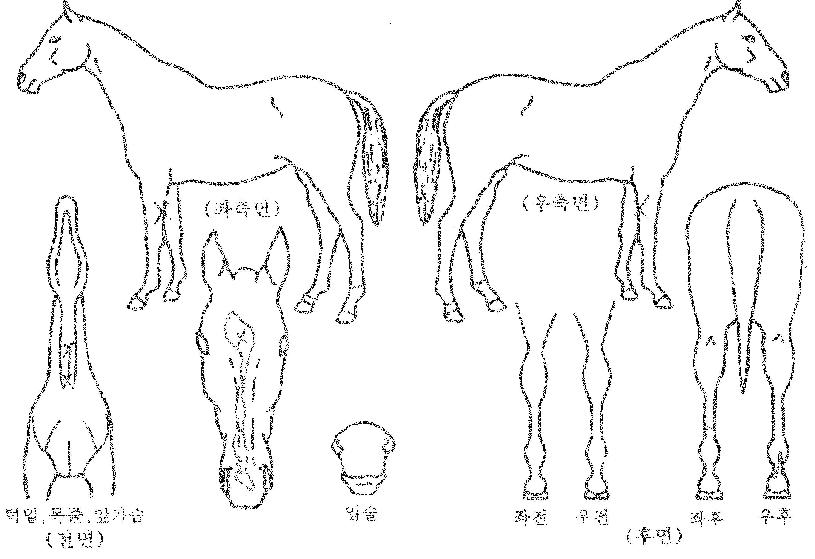 ¼±´õ»þ¿öÀÇ Ãø¸é,¿ì¸é,µÞ¸é,µÎ»ó,´Ù¸®ÀÇ Æ¯Â¡µµÇØ