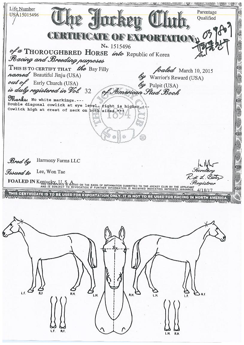 ºäƼǮÁøÁÖÀÇ Ãø¸é,¿ì¸é,µÞ¸é,µÎ»ó,´Ù¸®ÀÇ Æ¯Â¡µµÇØ