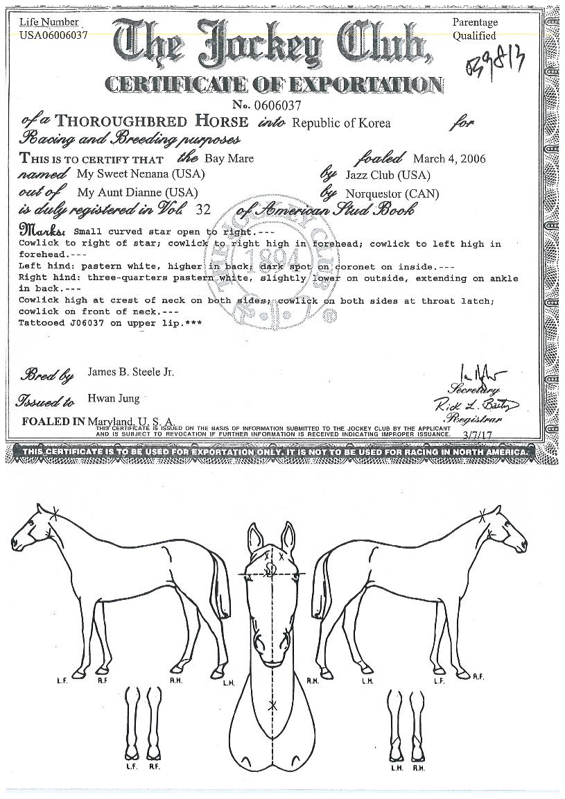 ¸¶À̽ºÀ³×³ª³ªÀÇ Ãø¸é,¿ì¸é,µÞ¸é,µÎ»ó,´Ù¸®ÀÇ Æ¯Â¡µµÇØ