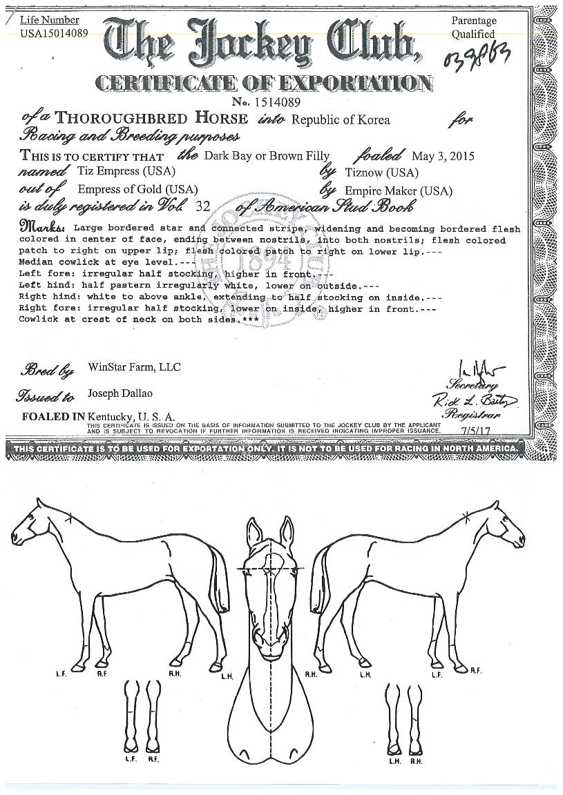 ƼÁî¿¥ÇÁ¸®½ºÀÇ Ãø¸é,¿ì¸é,µÞ¸é,µÎ»ó,´Ù¸®ÀÇ Æ¯Â¡µµÇØ