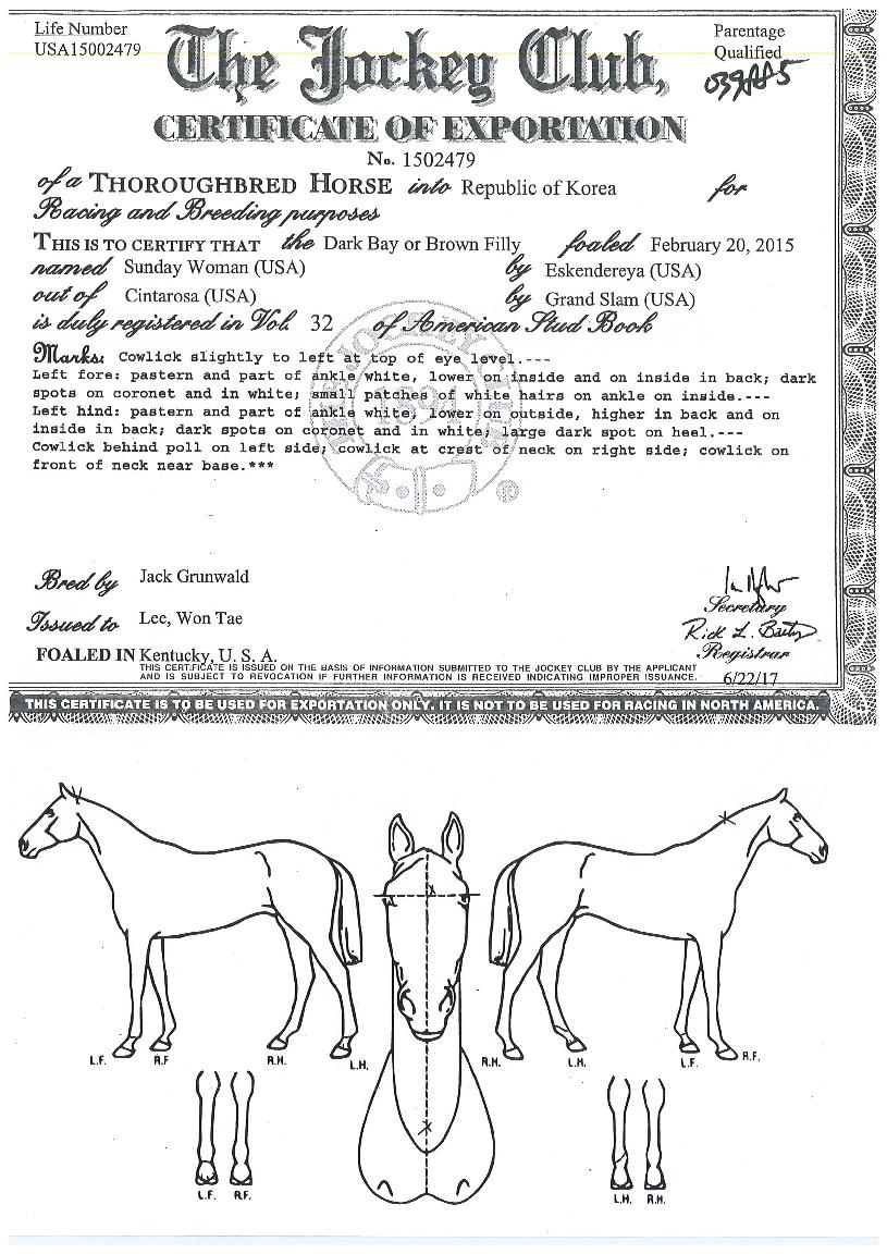 ¾ÆÀÓÀ¯¾î¸¶´õÀÇ Ãø¸é,¿ì¸é,µÞ¸é,µÎ»ó,´Ù¸®ÀÇ Æ¯Â¡µµÇØ