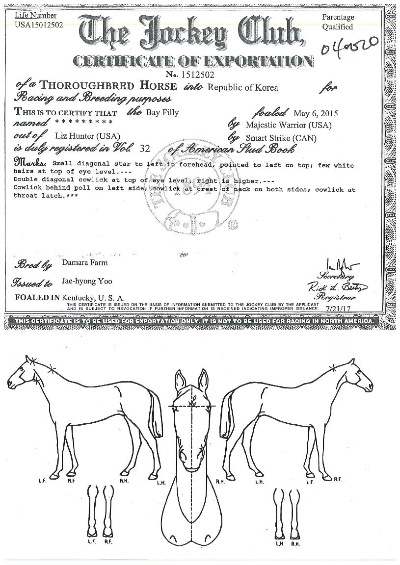 Äí¹ÙÀÇ¿Á¤ÀÇ Ãø¸é,¿ì¸é,µÞ¸é,µÎ»ó,´Ù¸®ÀÇ Æ¯Â¡µµÇØ