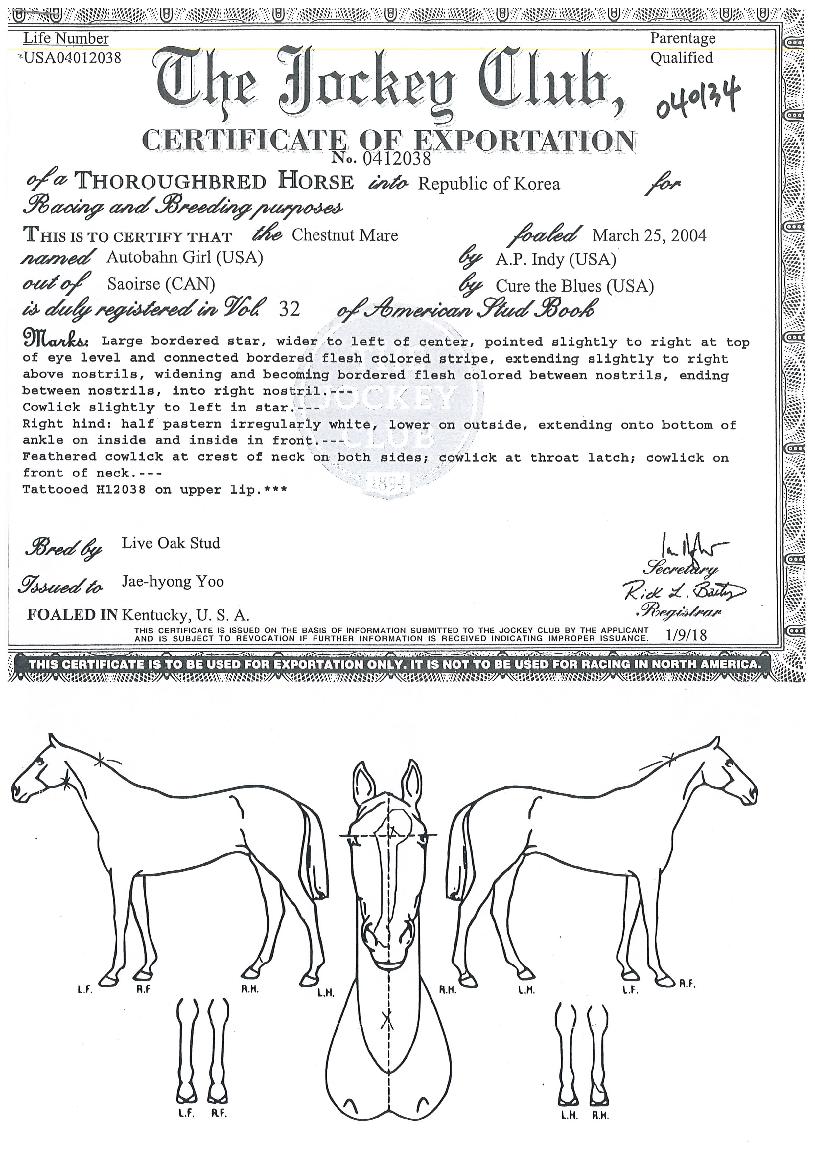 ¾Æ¿ìÅä¹Ý°ÉÀÇ Ãø¸é,¿ì¸é,µÞ¸é,µÎ»ó,´Ù¸®ÀÇ Æ¯Â¡µµÇØ