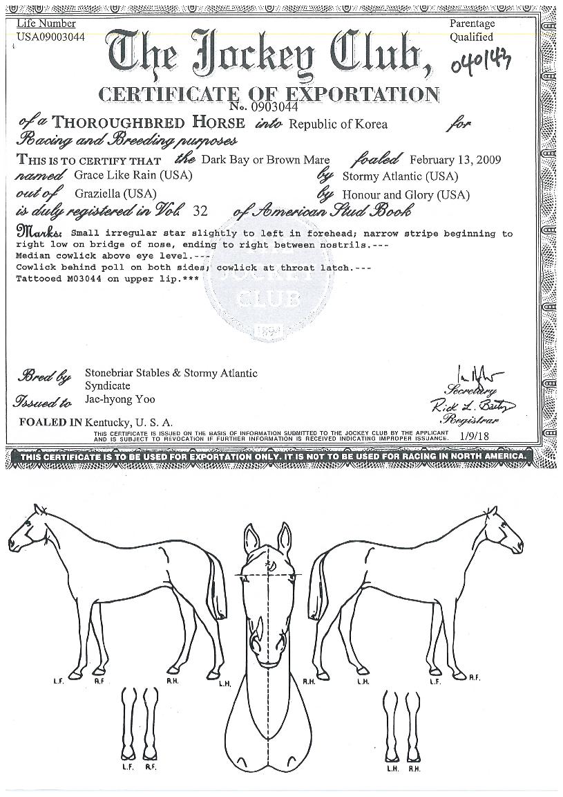 ±×·¹À̽º¶óÀÌÅ©·¹ÀÇ Ãø¸é,¿ì¸é,µÞ¸é,µÎ»ó,´Ù¸®ÀÇ Æ¯Â¡µµÇØ