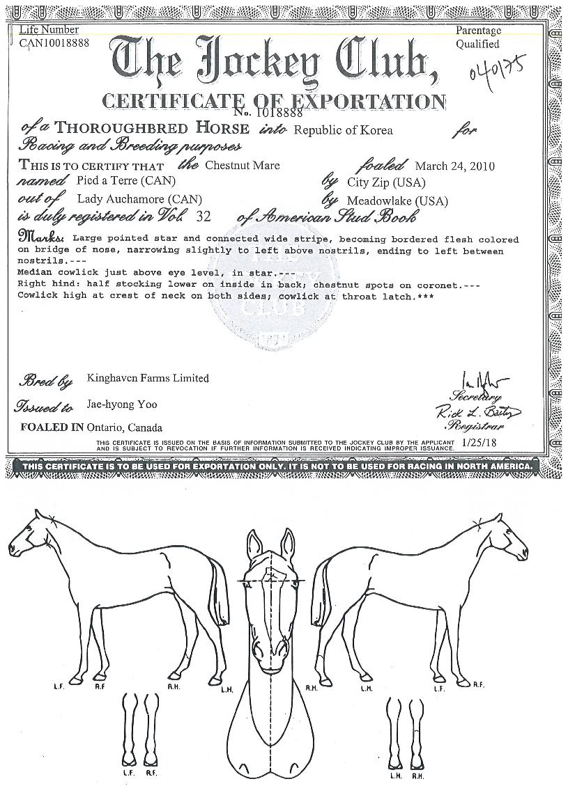 ÆÄÀ̵å¾îÅ×¾îÀÇ Ãø¸é,¿ì¸é,µÞ¸é,µÎ»ó,´Ù¸®ÀÇ Æ¯Â¡µµÇØ