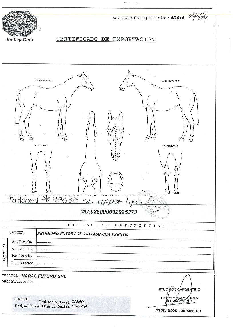 ·Î¸ÇƼī¹Ì¾ÆÀÇ Ãø¸é,¿ì¸é,µÞ¸é,µÎ»ó,´Ù¸®ÀÇ Æ¯Â¡µµÇØ