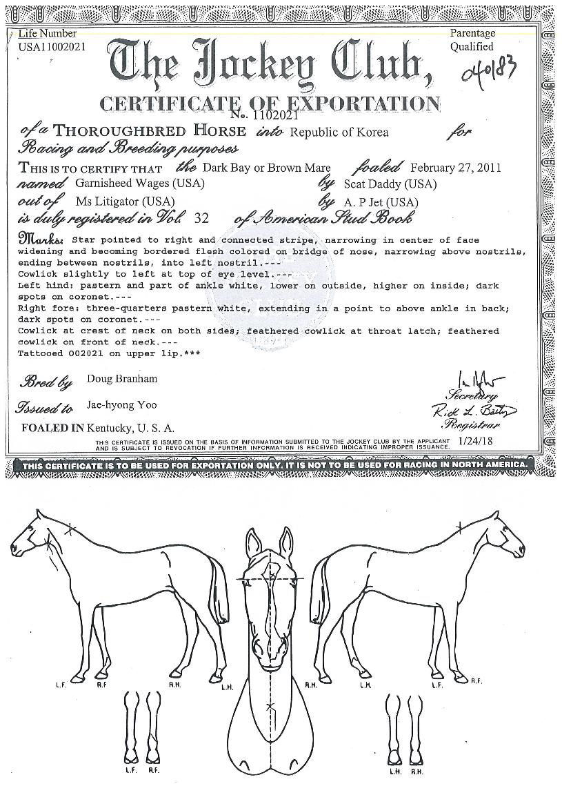 °¡´Ï½¬µå¿þÀÌÁö½ºÀÇ Ãø¸é,¿ì¸é,µÞ¸é,µÎ»ó,´Ù¸®ÀÇ Æ¯Â¡µµÇØ