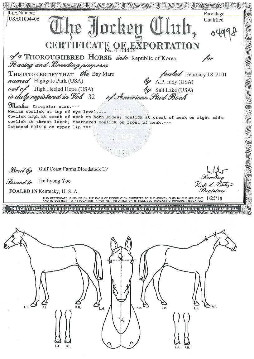 ÇÏÀ̰ÔÀÌÆ®ÆÄÅ©ÀÇ Ãø¸é,¿ì¸é,µÞ¸é,µÎ»ó,´Ù¸®ÀÇ Æ¯Â¡µµÇØ