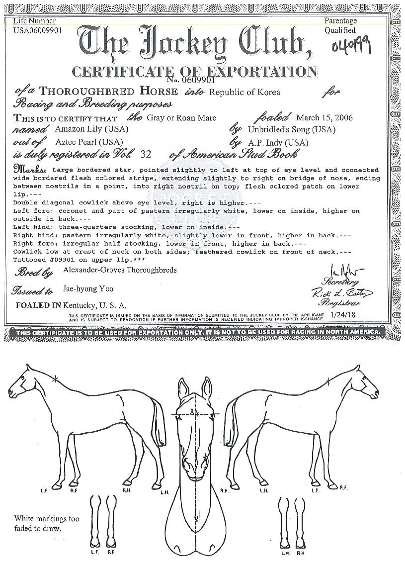 ¾Æ¸¶Á¸¸±¸®ÀÇ Ãø¸é,¿ì¸é,µÞ¸é,µÎ»ó,´Ù¸®ÀÇ Æ¯Â¡µµÇØ