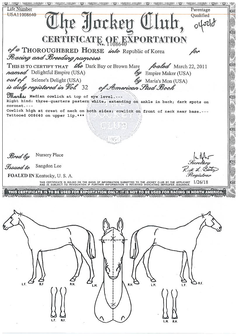 µô¶óÀÕÆÞ¿¥ÆÄÀ̾îÀÇ Ãø¸é,¿ì¸é,µÞ¸é,µÎ»ó,´Ù¸®ÀÇ Æ¯Â¡µµÇØ