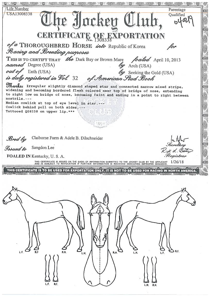 µð±×¸®ÀÇ Ãø¸é,¿ì¸é,µÞ¸é,µÎ»ó,´Ù¸®ÀÇ Æ¯Â¡µµÇØ