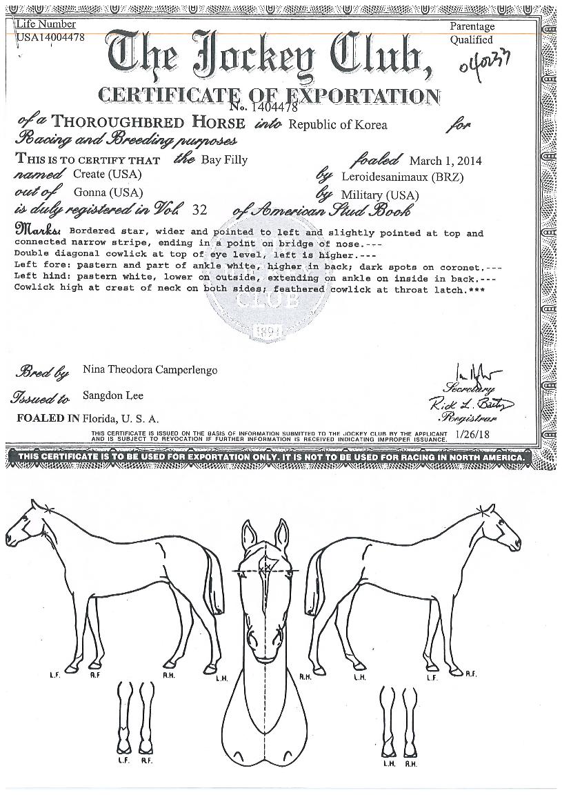 Å©¸®¿¡ÀÌÆ®ÀÇ Ãø¸é,¿ì¸é,µÞ¸é,µÎ»ó,´Ù¸®ÀÇ Æ¯Â¡µµÇØ