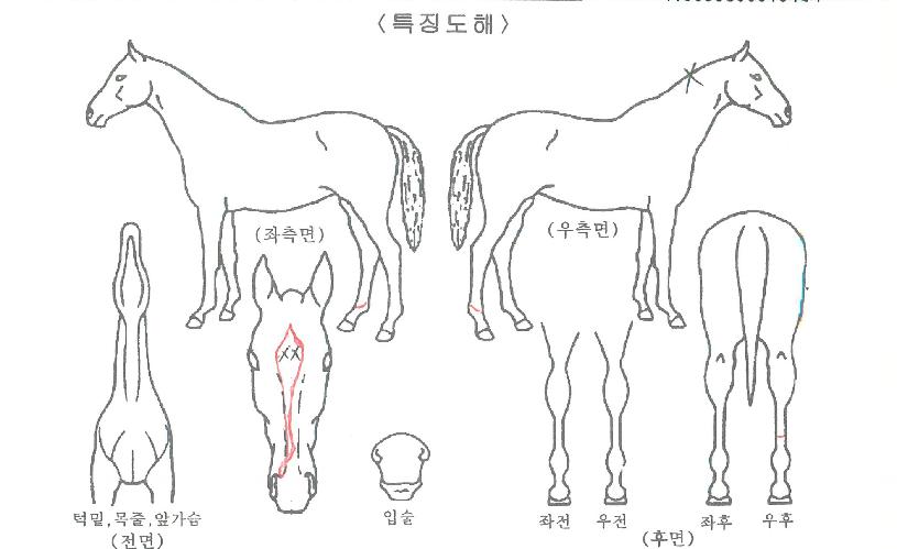 ½ºÇÁ¸µÄÄÀÇ Ãø¸é,¿ì¸é,µÞ¸é,µÎ»ó,´Ù¸®ÀÇ Æ¯Â¡µµÇØ