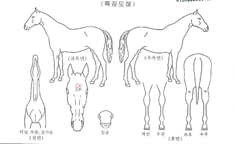 ÇÏÀÌÆÛÆ÷¸ÓÀÇ Ãø¸é,¿ì¸é,µÞ¸é,µÎ»ó,´Ù¸®ÀÇ Æ¯Â¡µµÇØ