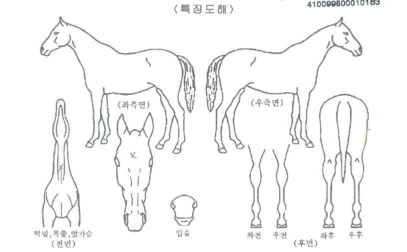 ±íÀºÇÔ¼ºÀÇ Ãø¸é,¿ì¸é,µÞ¸é,µÎ»ó,´Ù¸®ÀÇ Æ¯Â¡µµÇØ