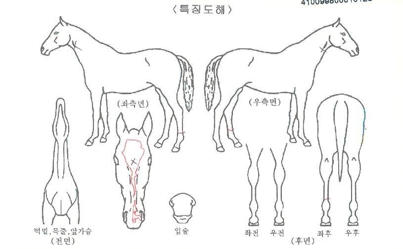 ¸Þ´Ï½ºÆÛÆ®ÀÇ Ãø¸é,¿ì¸é,µÞ¸é,µÎ»ó,´Ù¸®ÀÇ Æ¯Â¡µµÇØ