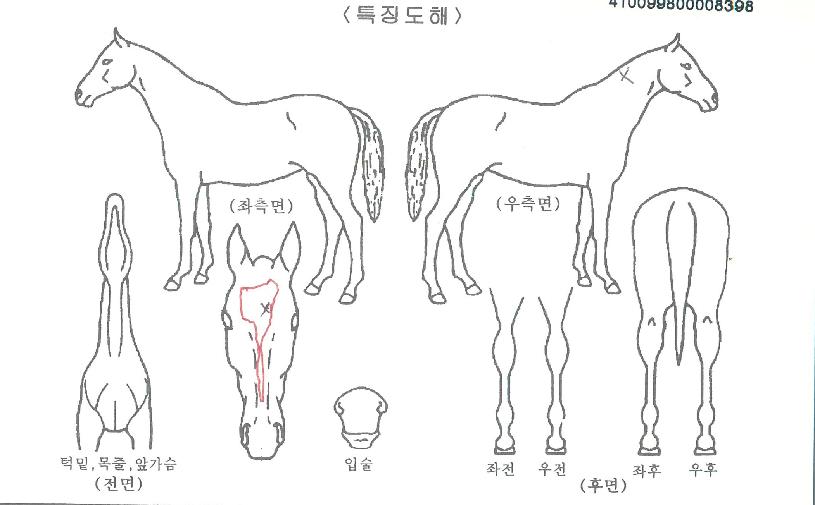 Áö±ÝÀ̱âȸÀÇ Ãø¸é,¿ì¸é,µÞ¸é,µÎ»ó,´Ù¸®ÀÇ Æ¯Â¡µµÇØ