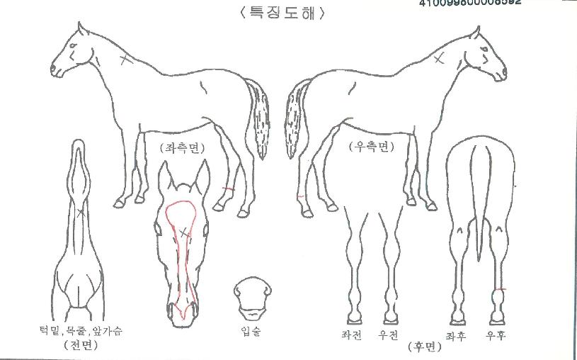 ÀüÁ¤»ç±ÝÀÇ Ãø¸é,¿ì¸é,µÞ¸é,µÎ»ó,´Ù¸®ÀÇ Æ¯Â¡µµÇØ