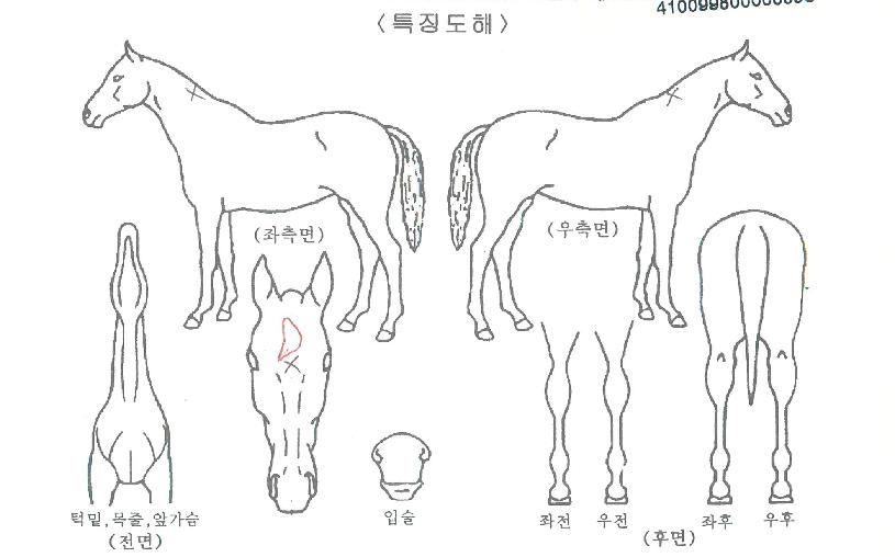 ¿îºÀ»êÀÇ Ãø¸é,¿ì¸é,µÞ¸é,µÎ»ó,´Ù¸®ÀÇ Æ¯Â¡µµÇØ