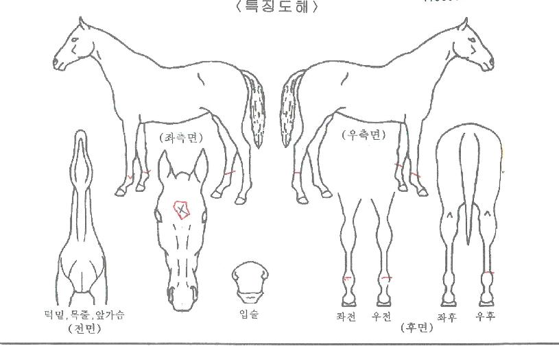 ÆÄ¿öÆ®·¹ÀÎÀÇ Ãø¸é,¿ì¸é,µÞ¸é,µÎ»ó,´Ù¸®ÀÇ Æ¯Â¡µµÇØ