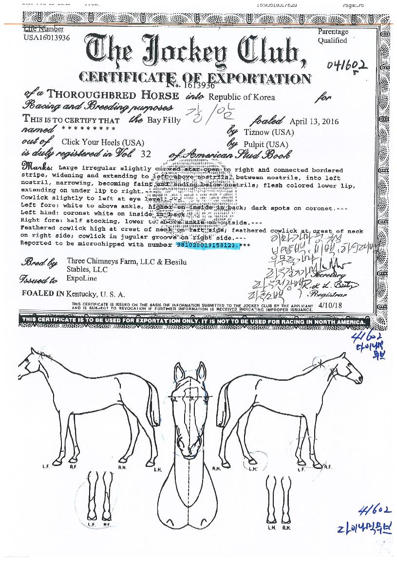 ´ÙÀ̳ª¹Í¹«ºêÀÇ Ãø¸é,¿ì¸é,µÞ¸é,µÎ»ó,´Ù¸®ÀÇ Æ¯Â¡µµÇØ