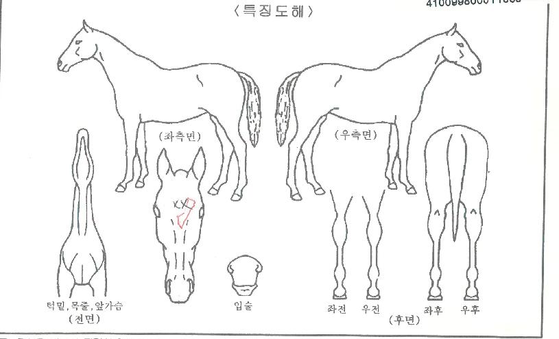 Çϴñâ»óÀÚ¸¶ÀÇ Ãø¸é,¿ì¸é,µÞ¸é,µÎ»ó,´Ù¸®ÀÇ Æ¯Â¡µµÇØ