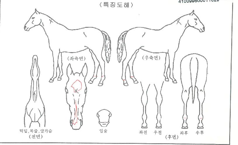 ºí·çÂüÀÇ Ãø¸é,¿ì¸é,µÞ¸é,µÎ»ó,´Ù¸®ÀÇ Æ¯Â¡µµÇØ