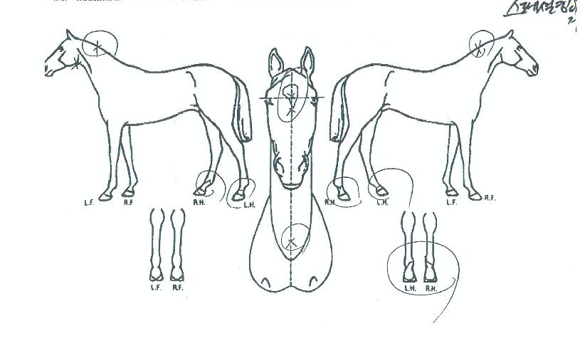 ½ºÆä¼ÈÅ·ÀÌÁöÀÇ Ãø¸é,¿ì¸é,µÞ¸é,µÎ»ó,´Ù¸®ÀÇ Æ¯Â¡µµÇØ