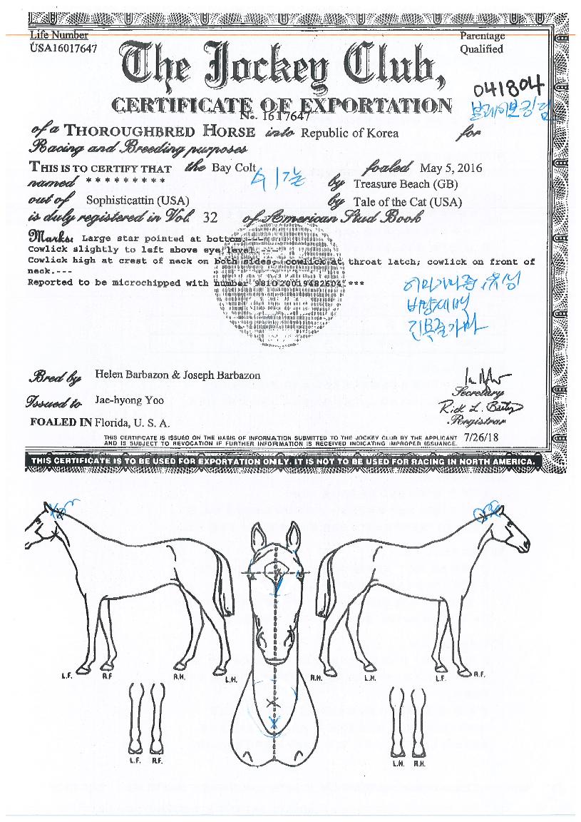 ºê·¹À̺êÅ·´ýÀÇ Ãø¸é,¿ì¸é,µÞ¸é,µÎ»ó,´Ù¸®ÀÇ Æ¯Â¡µµÇØ