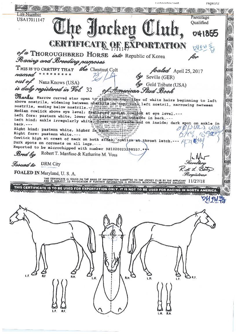 ¸Ç¿ÀºêÅéÀÇ Ãø¸é,¿ì¸é,µÞ¸é,µÎ»ó,´Ù¸®ÀÇ Æ¯Â¡µµÇØ