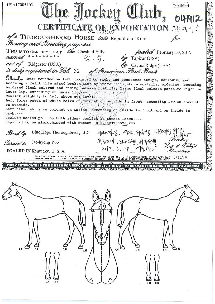 ±×¸°¿¡À̽ºÀÇ Ãø¸é,¿ì¸é,µÞ¸é,µÎ»ó,´Ù¸®ÀÇ Æ¯Â¡µµÇØ