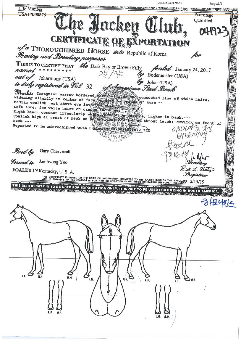 Çϸð´ÏÀ©µåÀÇ Ãø¸é,¿ì¸é,µÞ¸é,µÎ»ó,´Ù¸®ÀÇ Æ¯Â¡µµÇØ