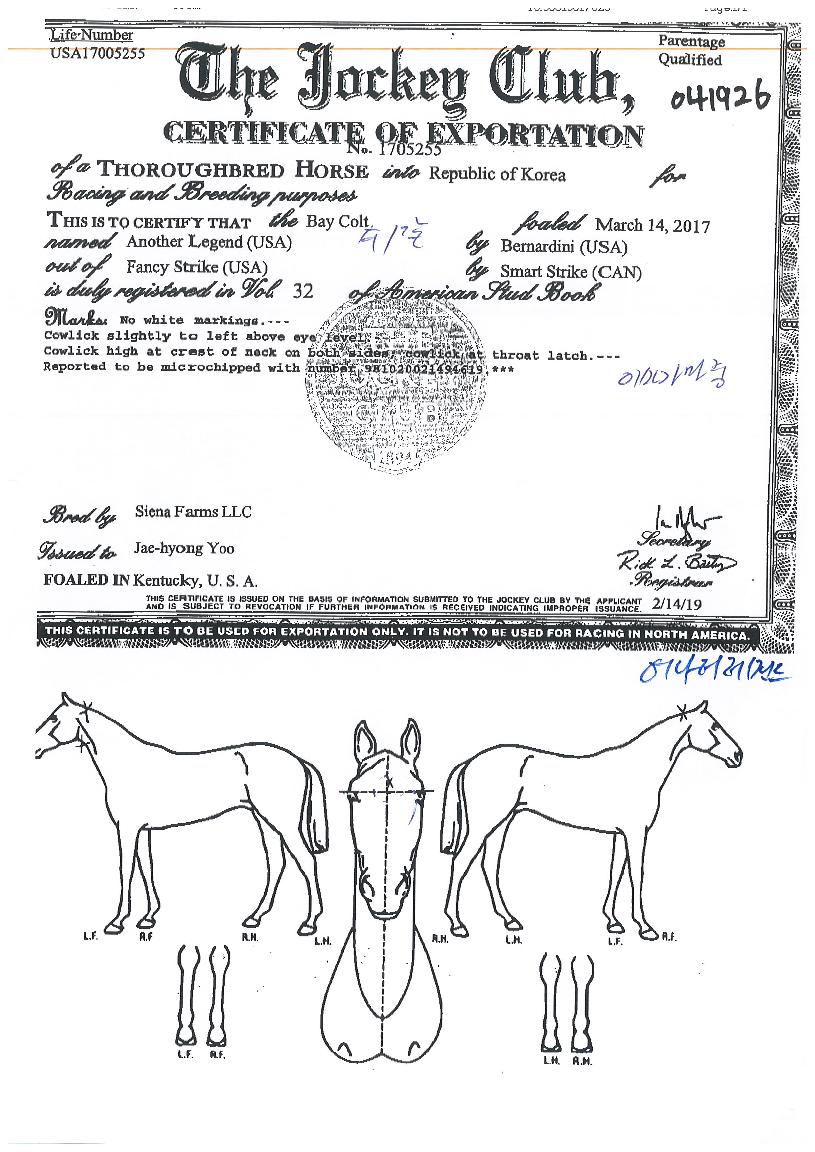 ¾î³ª´õ·¹ÀüµåÀÇ Ãø¸é,¿ì¸é,µÞ¸é,µÎ»ó,´Ù¸®ÀÇ Æ¯Â¡µµÇØ