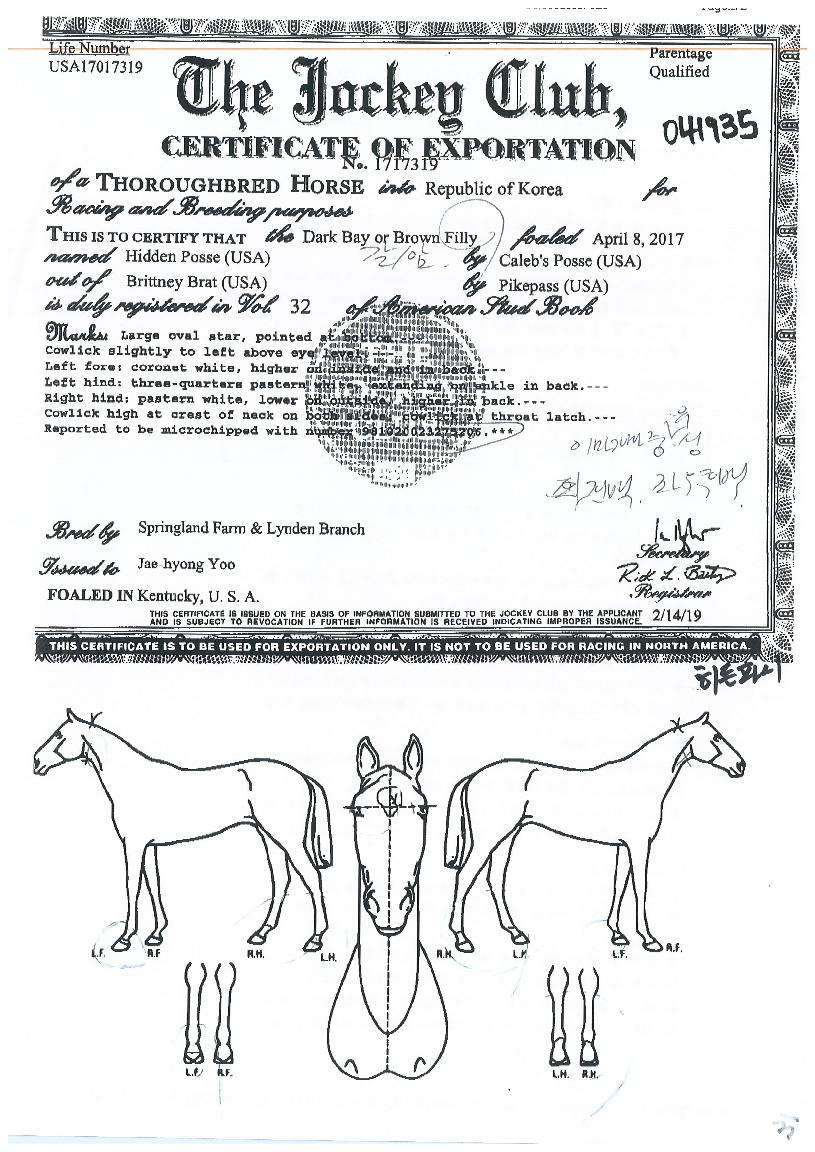 È÷µçÆÄ½ÃÀÇ Ãø¸é,¿ì¸é,µÞ¸é,µÎ»ó,´Ù¸®ÀÇ Æ¯Â¡µµÇØ