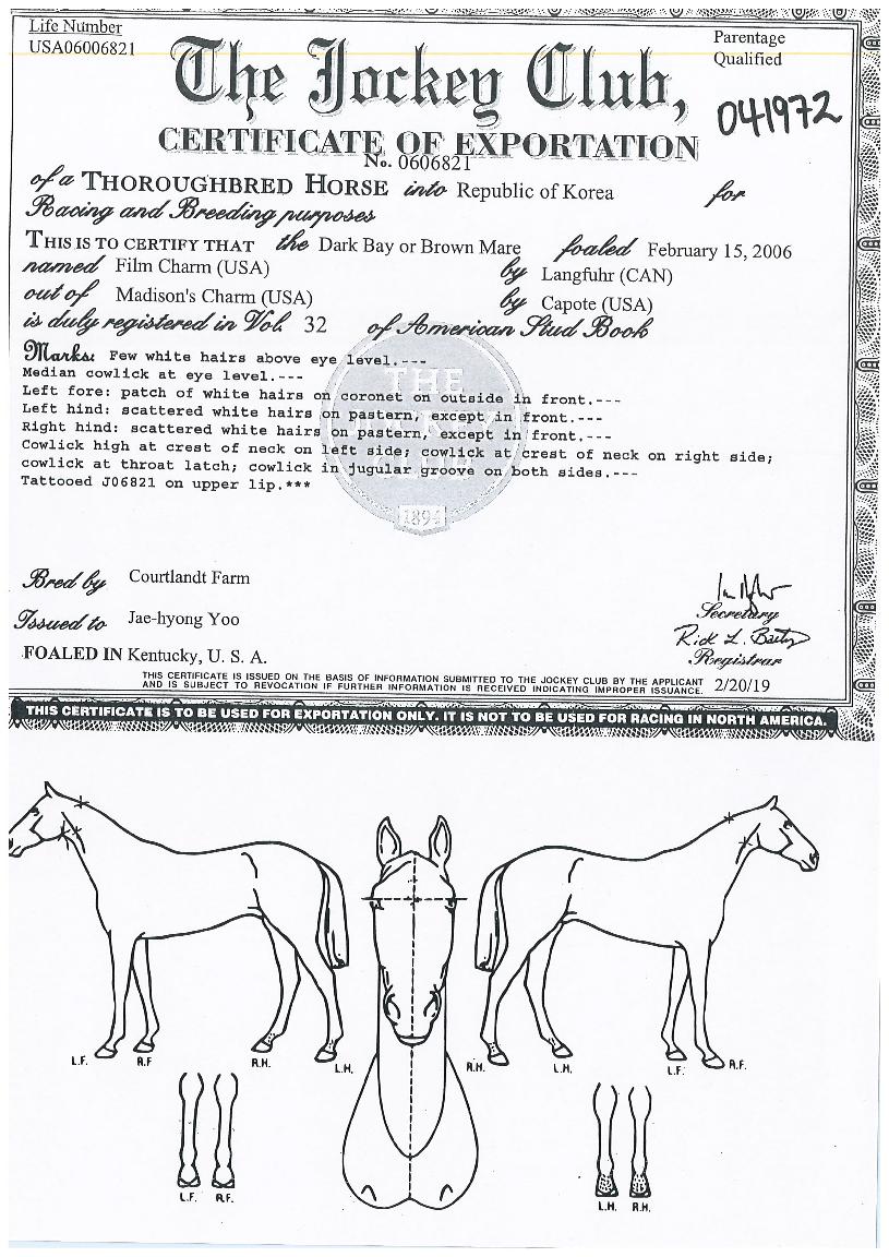 Çʸ§ÂüÀÇ Ãø¸é,¿ì¸é,µÞ¸é,µÎ»ó,´Ù¸®ÀÇ Æ¯Â¡µµÇØ