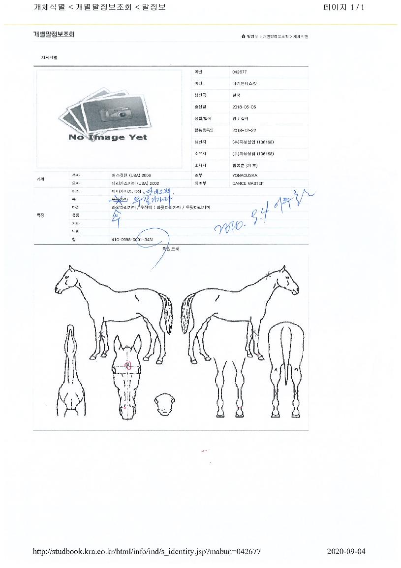 µ¥¸®¾È¸Ó½ºÅ¶ÀÇ Ãø¸é,¿ì¸é,µÞ¸é,µÎ»ó,´Ù¸®ÀÇ Æ¯Â¡µµÇØ
