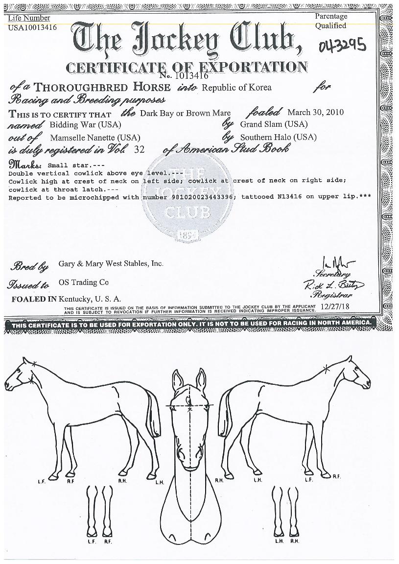 ºñµù¿öÀÇ Ãø¸é,¿ì¸é,µÞ¸é,µÎ»ó,´Ù¸®ÀÇ Æ¯Â¡µµÇØ