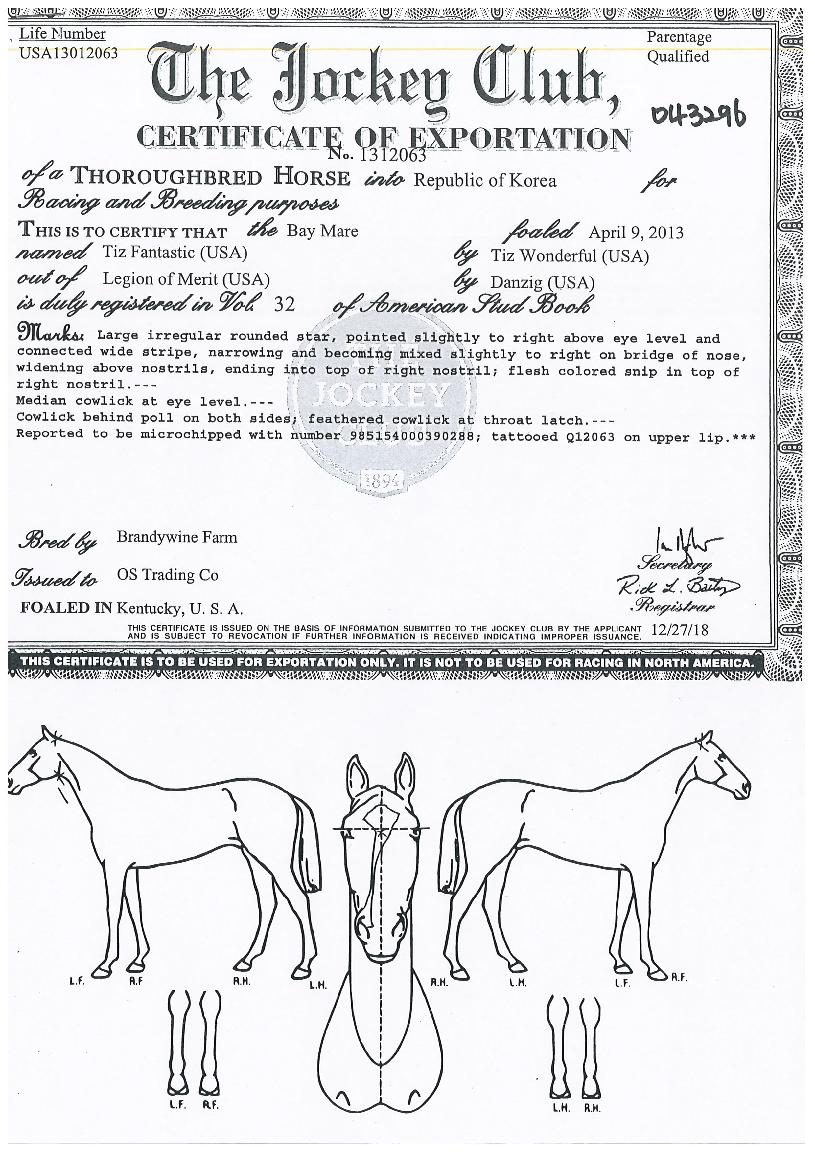 ƼÁîÆÇŸ½ºÆ½ÀÇ Ãø¸é,¿ì¸é,µÞ¸é,µÎ»ó,´Ù¸®ÀÇ Æ¯Â¡µµÇØ