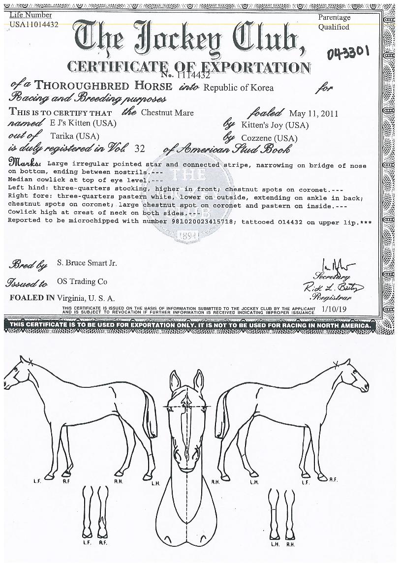 ÀÌÁ¦ÀÌÁîŰưÀÇ Ãø¸é,¿ì¸é,µÞ¸é,µÎ»ó,´Ù¸®ÀÇ Æ¯Â¡µµÇØ