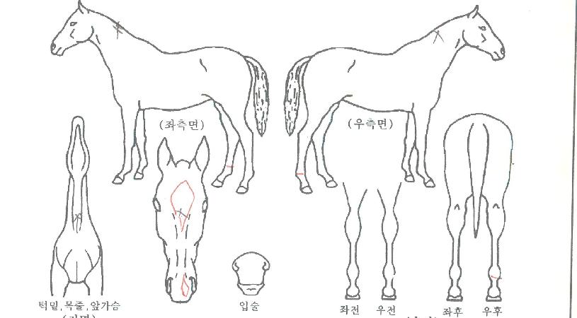 Á¦ÀÌȣũÀÇ Ãø¸é,¿ì¸é,µÞ¸é,µÎ»ó,´Ù¸®ÀÇ Æ¯Â¡µµÇØ