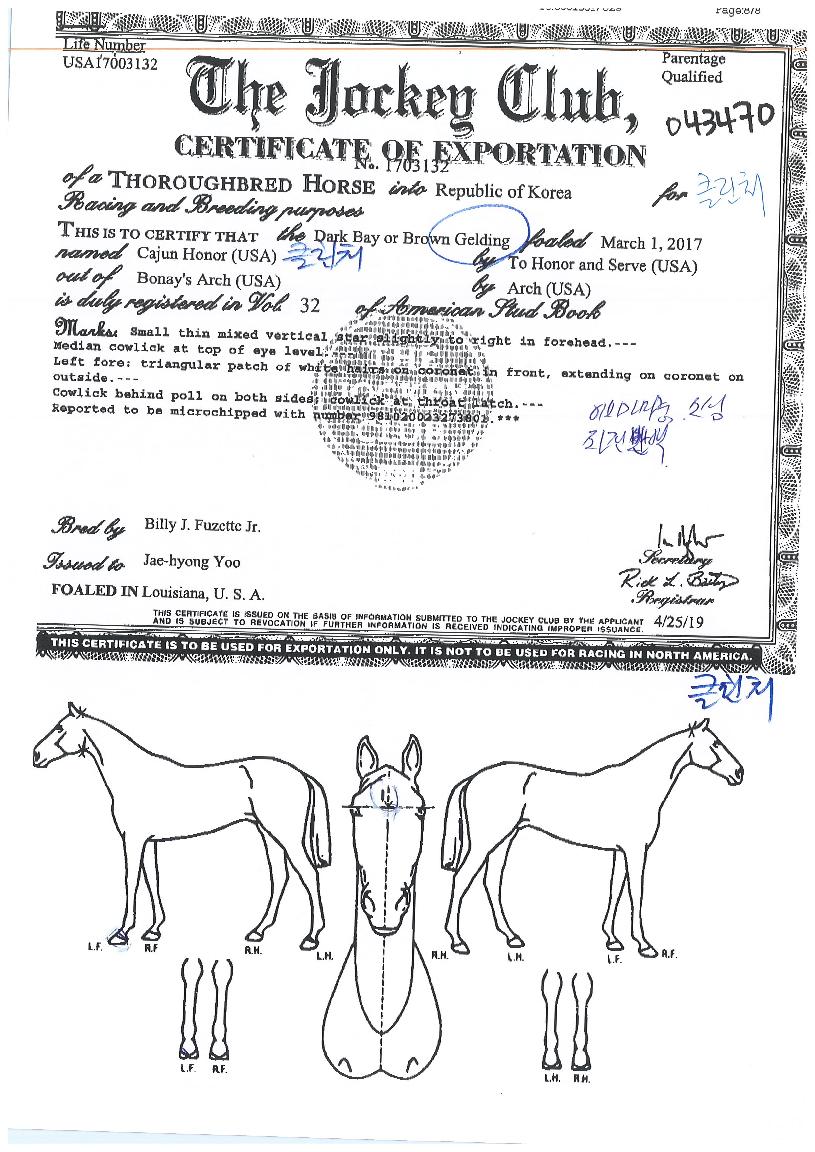 Ŭ¸°Ã³ÀÇ Ãø¸é,¿ì¸é,µÞ¸é,µÎ»ó,´Ù¸®ÀÇ Æ¯Â¡µµÇØ