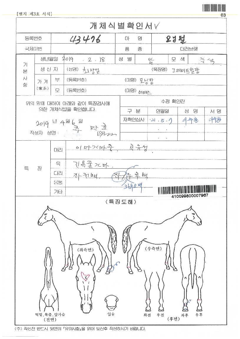 ¸ð´×ÆÞÀÇ Ãø¸é,¿ì¸é,µÞ¸é,µÎ»ó,´Ù¸®ÀÇ Æ¯Â¡µµÇØ