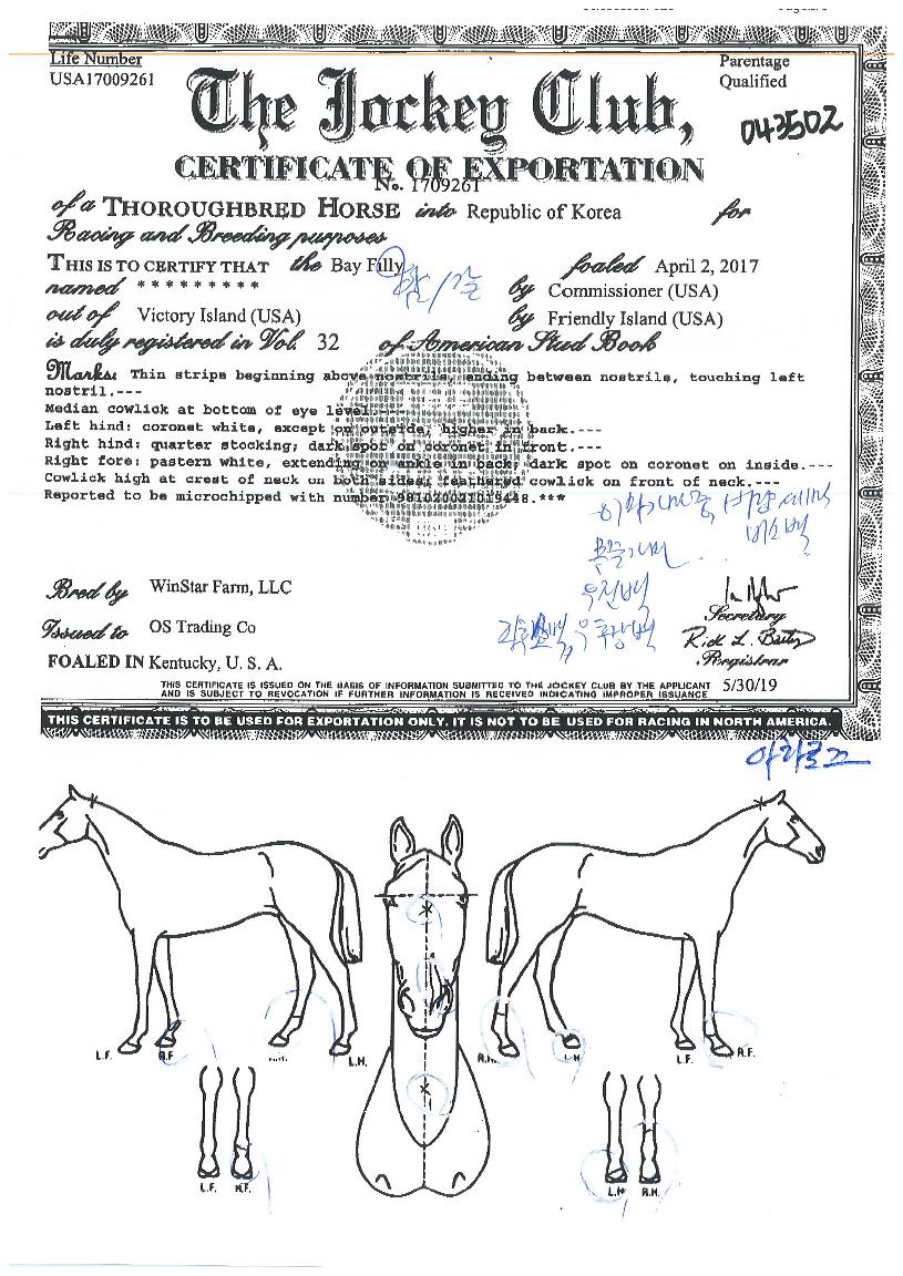 ¾Æ¶ó·ÎÁîÀÇ Ãø¸é,¿ì¸é,µÞ¸é,µÎ»ó,´Ù¸®ÀÇ Æ¯Â¡µµÇØ