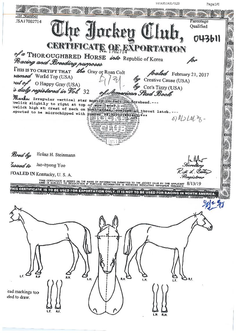 ¿ùµåÅéÀÇ Ãø¸é,¿ì¸é,µÞ¸é,µÎ»ó,´Ù¸®ÀÇ Æ¯Â¡µµÇØ