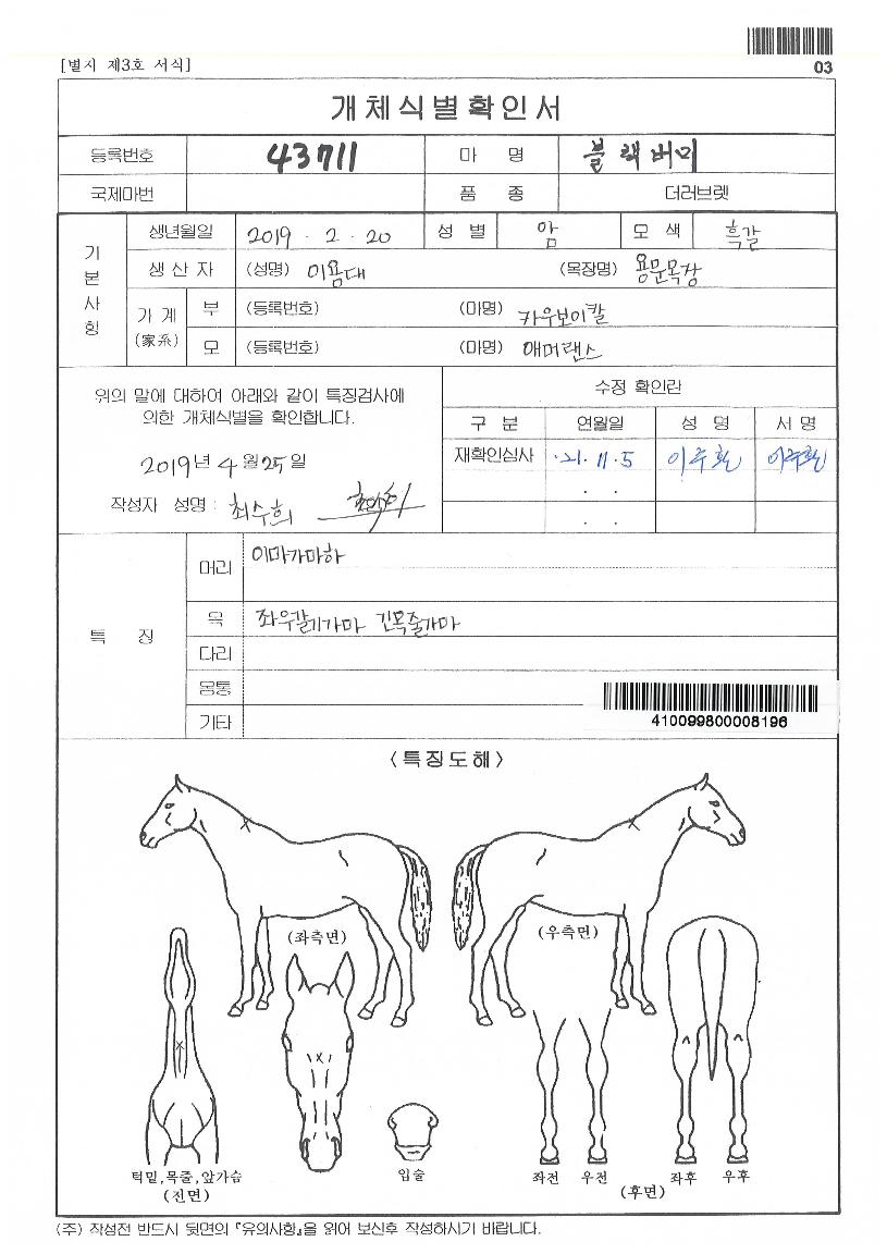 ºí·¢¹ö¹ÌÀÇ Ãø¸é,¿ì¸é,µÞ¸é,µÎ»ó,´Ù¸®ÀÇ Æ¯Â¡µµÇØ