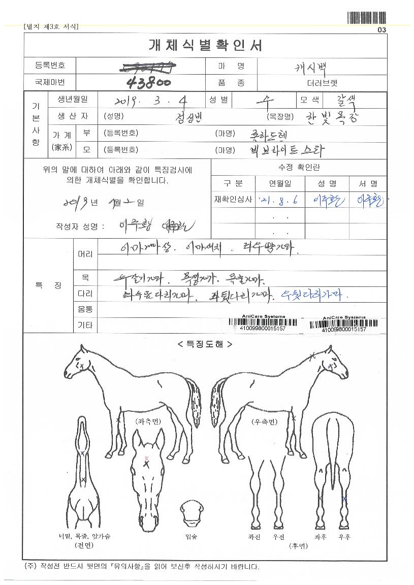 ij½Ã¹éÀÇ Ãø¸é,¿ì¸é,µÞ¸é,µÎ»ó,´Ù¸®ÀÇ Æ¯Â¡µµÇØ