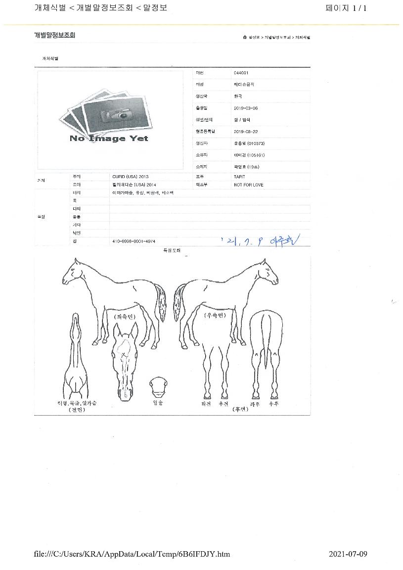 ¸Åµð½¼¹ÂÁ÷ÀÇ Ãø¸é,¿ì¸é,µÞ¸é,µÎ»ó,´Ù¸®ÀÇ Æ¯Â¡µµÇØ