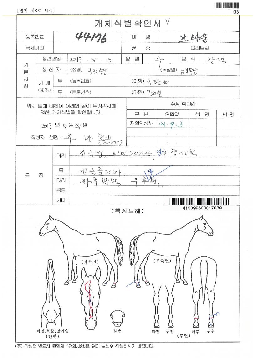 ºê¶ó¿îÀÇ Ãø¸é,¿ì¸é,µÞ¸é,µÎ»ó,´Ù¸®ÀÇ Æ¯Â¡µµÇØ