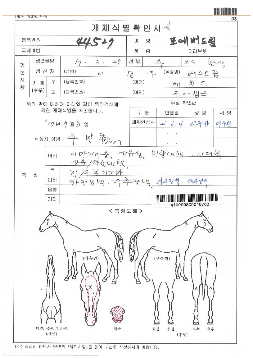 Æ÷¿¡¹öµå¸²ÀÇ Ãø¸é,¿ì¸é,µÞ¸é,µÎ»ó,´Ù¸®ÀÇ Æ¯Â¡µµÇØ